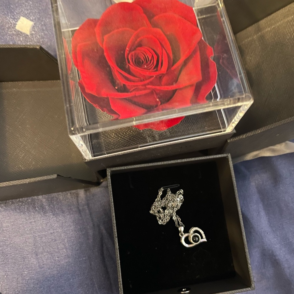 Elegant Silver I love you in every language necklace + forever rose